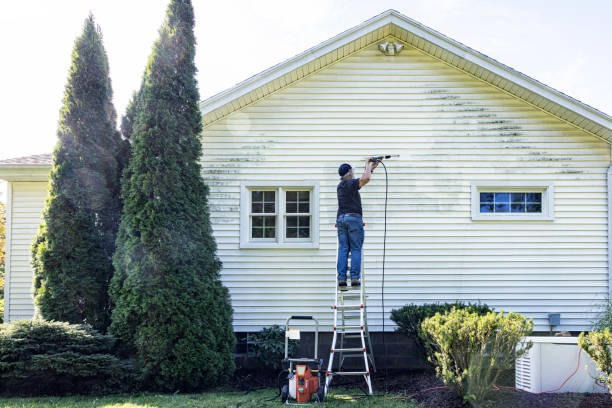 Best Gutter Cleaning  in Fulton, NY